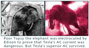 tesla.elephant.jpg