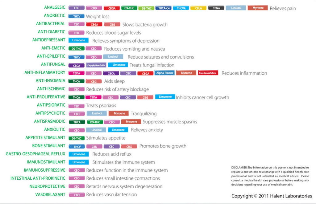 terpenes terpene cannabinoid terpenoid cbda